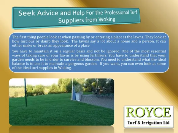 Seek Advice and Help For the Professional Turf Suppliers from Woking