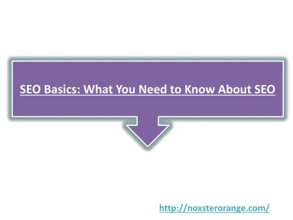 SEO Basics: What You Need to Know About SEO