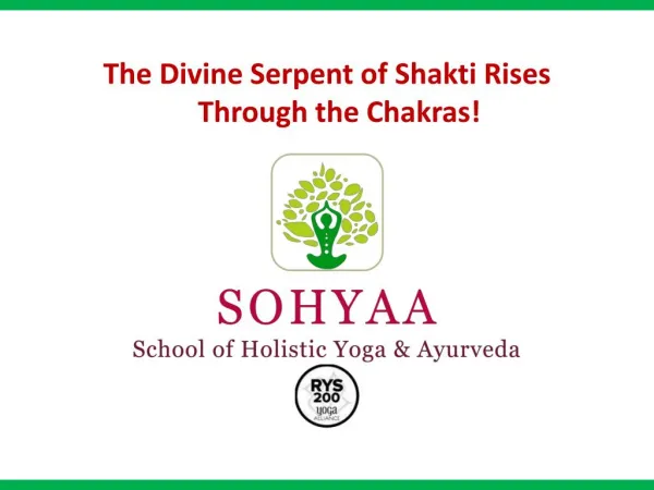 The Divine Serpent of Shakti Rises Through the Chakras!