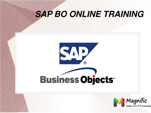 Sap BO Online Trainig in South Africa