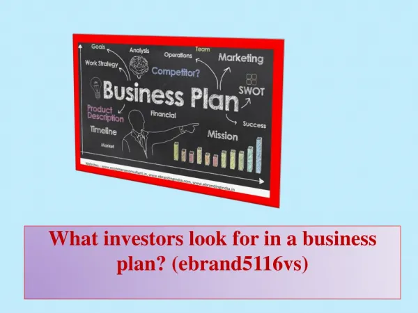 What investors look for in a business plan?