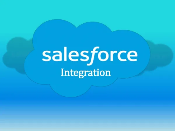 Salesforce Integration India