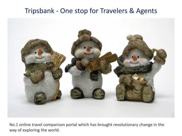One stop Travel and Agents solution - Tripsbank
