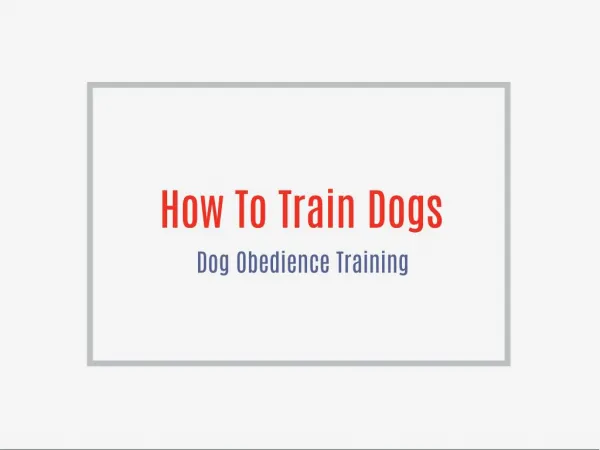 Free dog training video