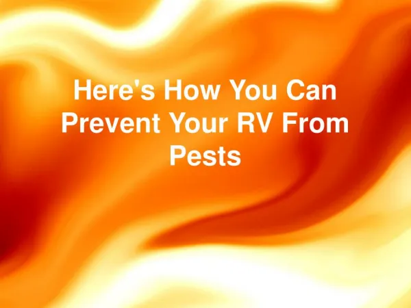 Here's How You Can Prevent Your RV From Pests