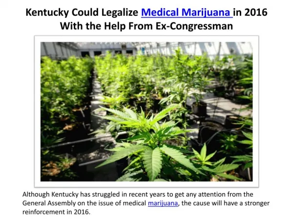 Kentucky Could Legalize Medical Marijuana in 2016 With the Help From Ex-Congressman