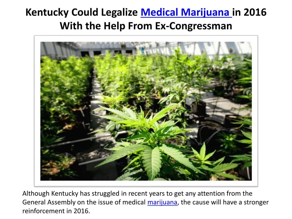 kentucky could legalize medical marijuana in 2016 with the help from ex congressman