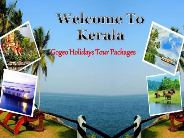 Kerala Tour Packages For family In reasonable price!