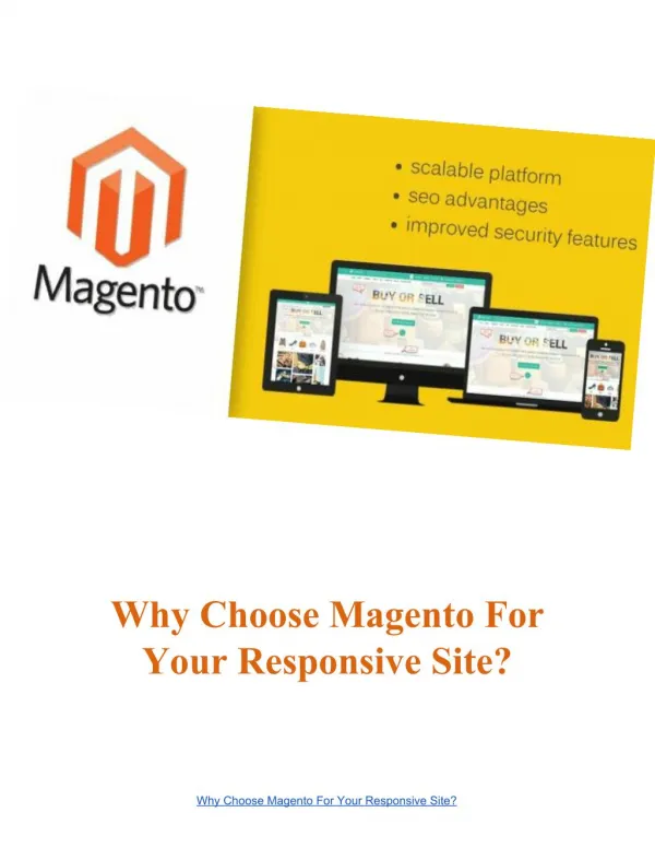 Magento Development Services For Responsive Site