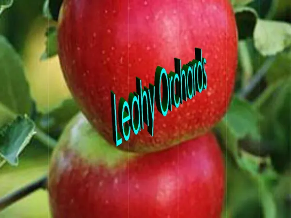 Leahy Orchards