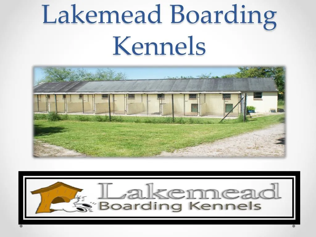 lakemead boarding kennels