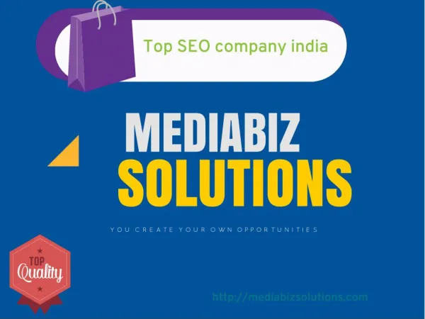 Mediabiz Solutions | SEO Company in Noida