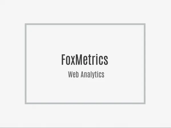 FoxMetrics Web Analytics
