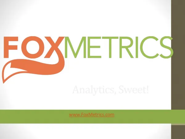 FoxMetrics Web Analytics Platform
