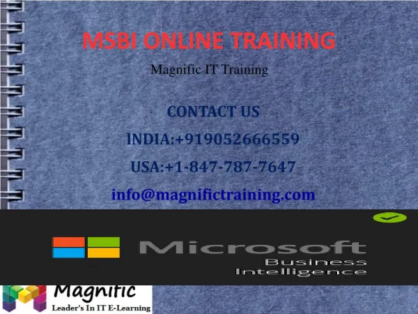 contact us lndia 919052666559 usa 1 847 787 7647 info@magnifictraining com