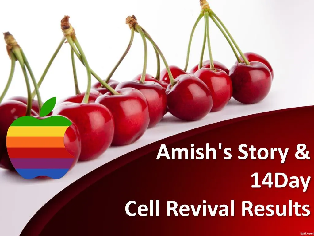 amish s story 14day cell revival results