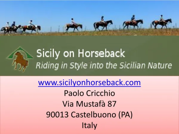 Enjoy Horse riding holiday in Sicily