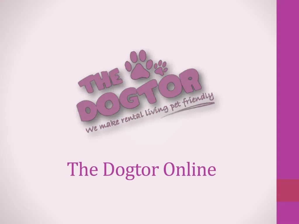 the dogtor online