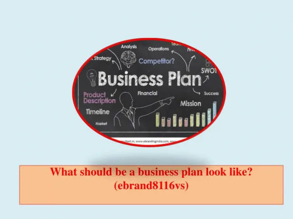 What should be a business plan look like? (ebrand8116vs)