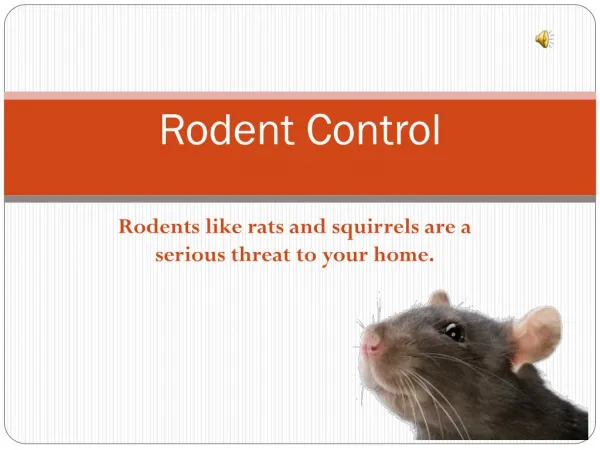 Rodent Control Atlanta