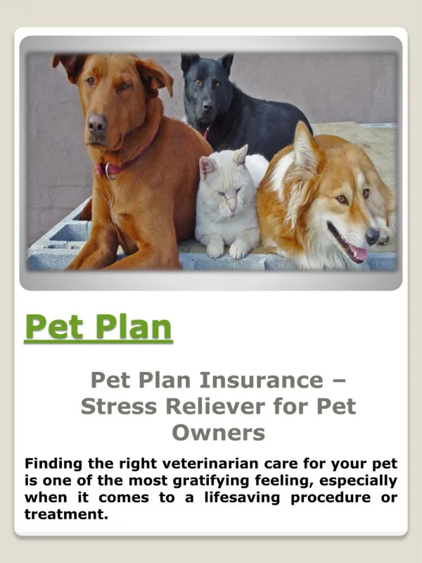 Banfield Pet Plan