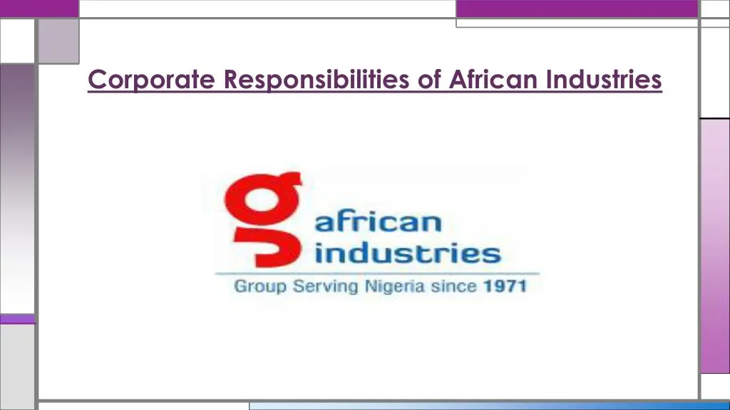corporate responsibilities of african industries