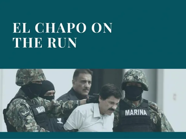El Chapo on the run
