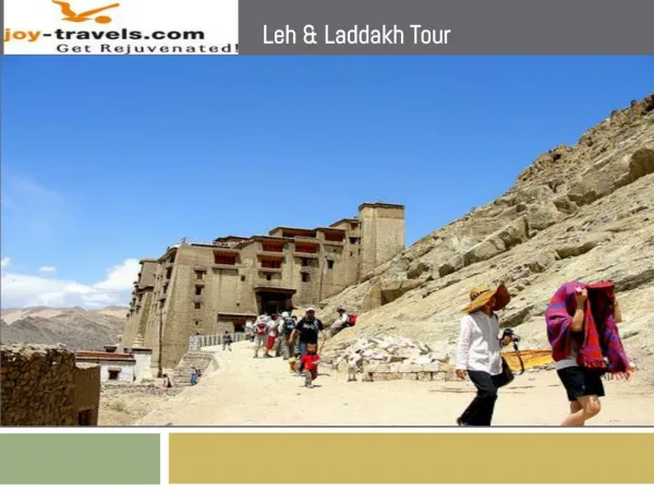 Extensive Leh Ladakh Travels