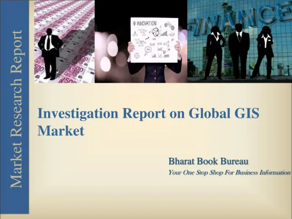 Investigation Report on Global GIS Market