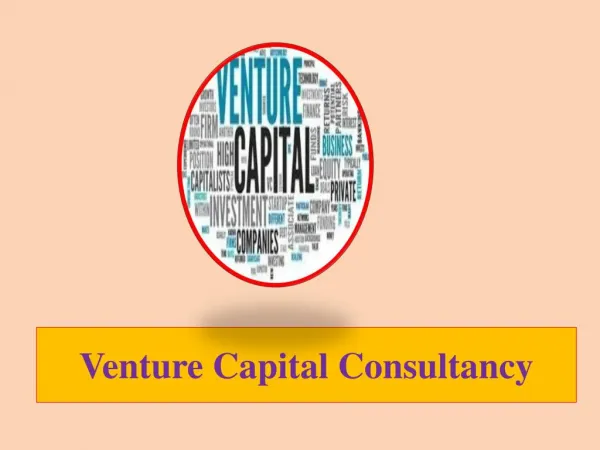 Venture Capital Consultancy