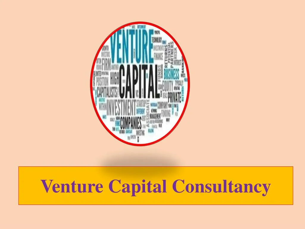 venture capital consultancy