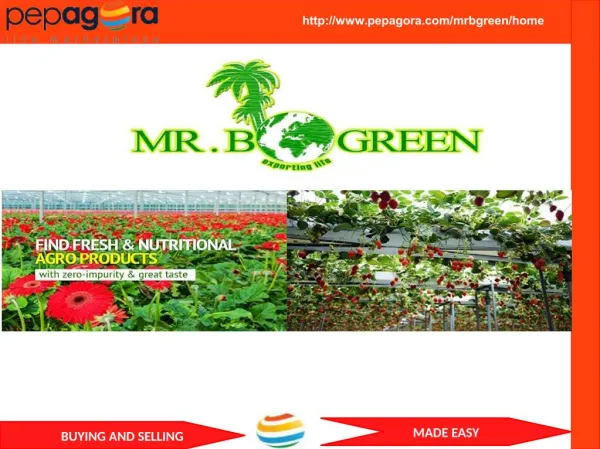 MR.B GREEN - Coir Products, Grow Bags, Manufacturer and Distributor / Wholesaler-www.pepagora.com