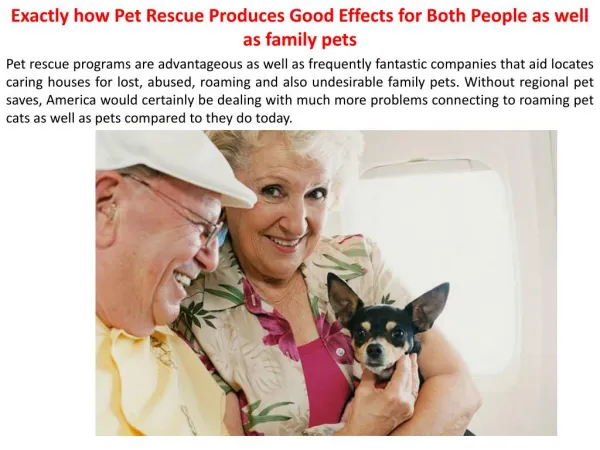 Exactly how Pet Rescue Produces Good Effects for Both People as well as family pets