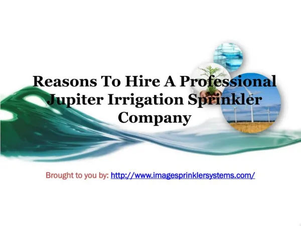 Reasons To Hire A Professional Jupiter Irrigation Sprinkler Company