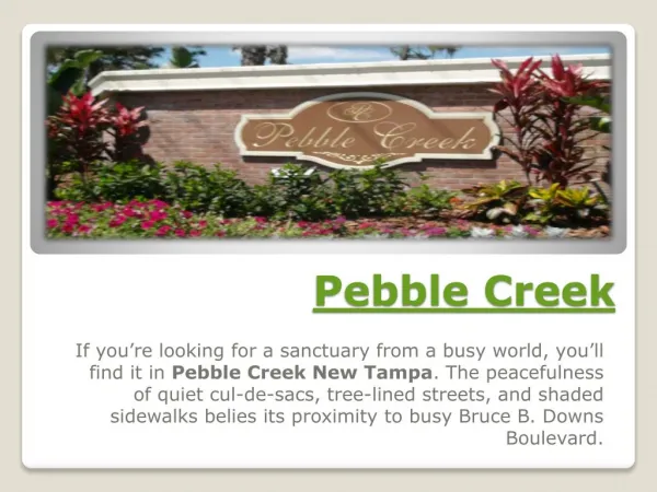 Homes For Sale in Pebble Creek