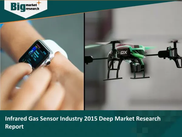 Infrared Gas Sensor Industry - Market Share Analysis
