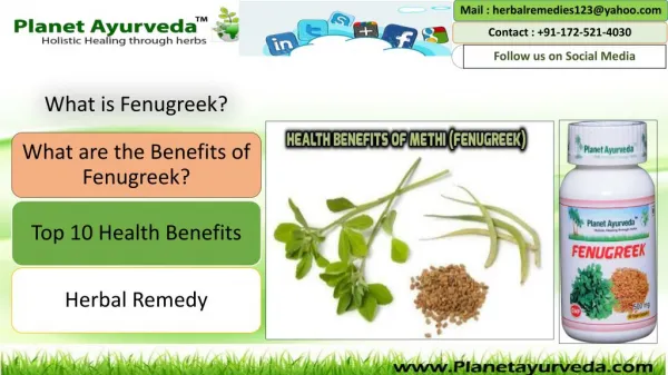 Top 10 Health Benefits of Methi - Fenugreek Seeds