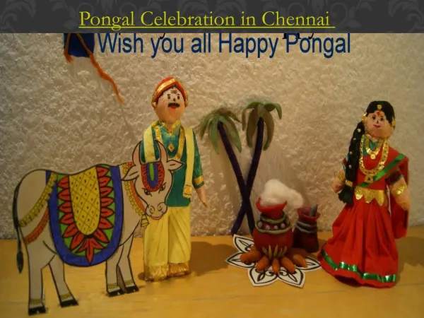 Pongal Celebration in Chennai