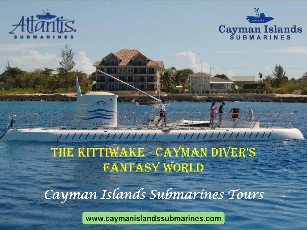the kittiwake cayman diver s fantasy world