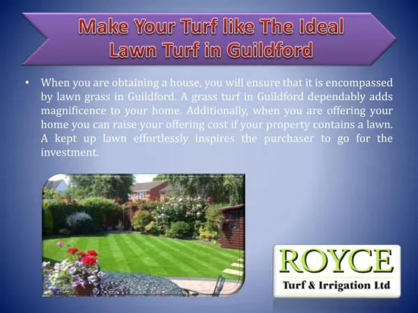 Make Your Turf like The Ideal Lawn Turf in Guildford