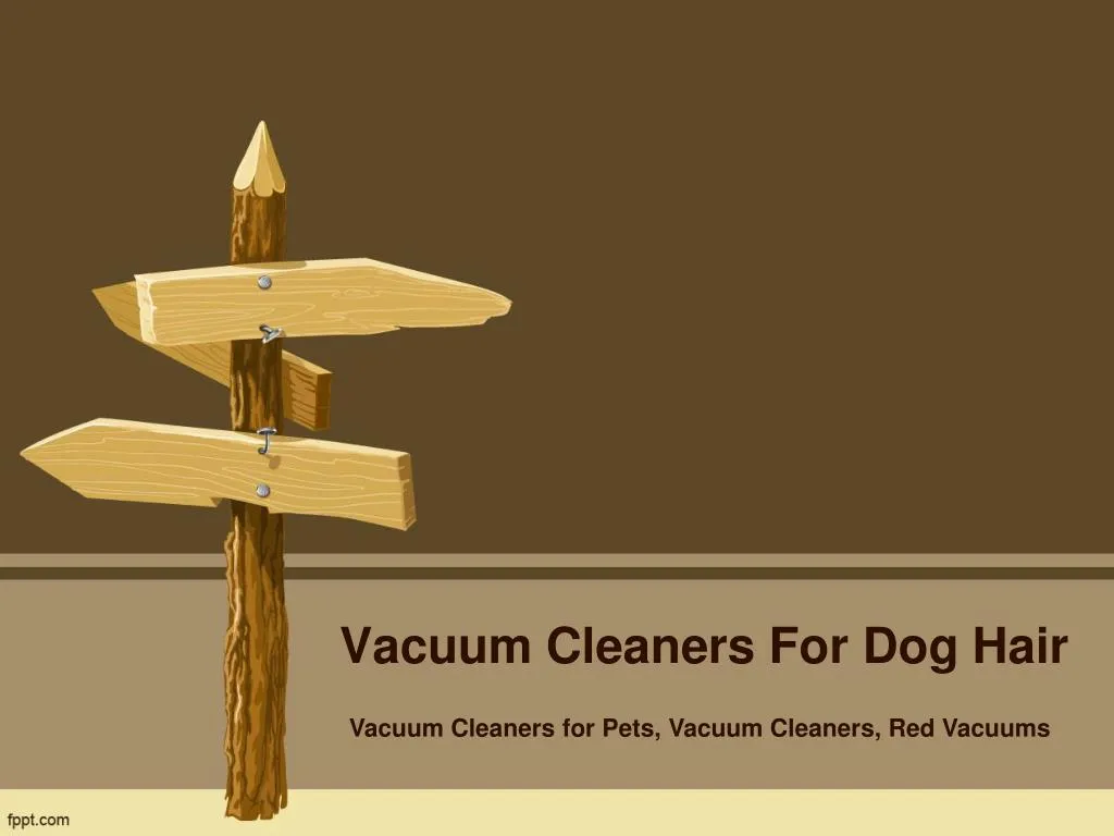 vacuum cleaners for dog hair
