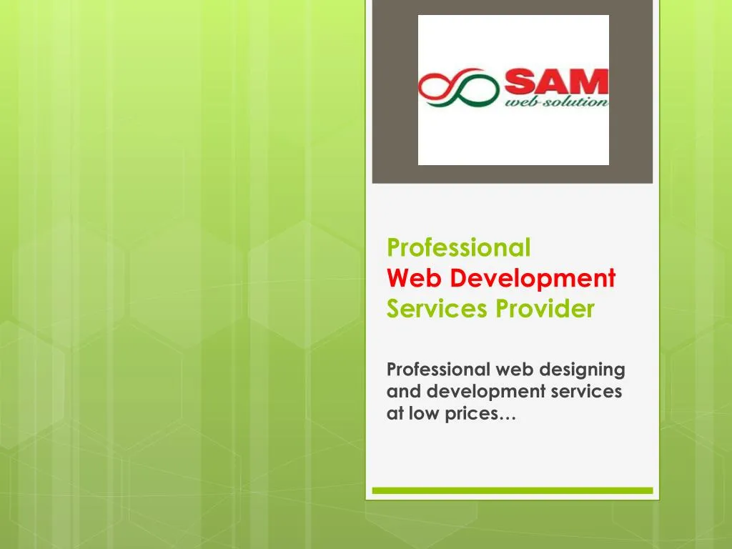 professional web development services provider