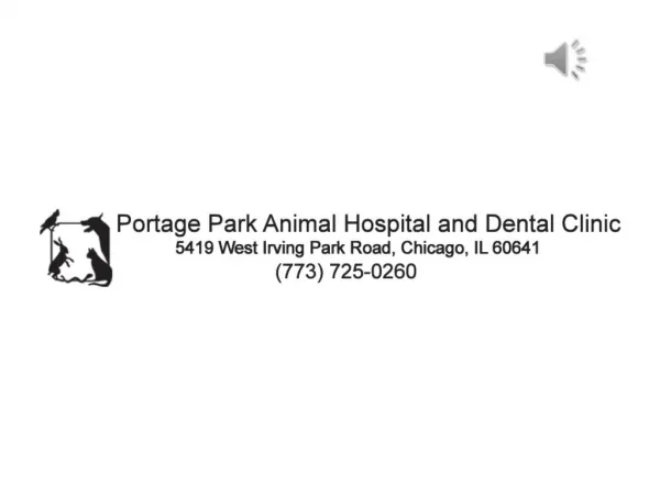 Pet Vaccination & Vet Clinic in Chicago