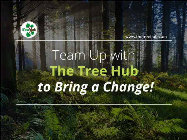 Reforestation Campaigns in Luxembourg