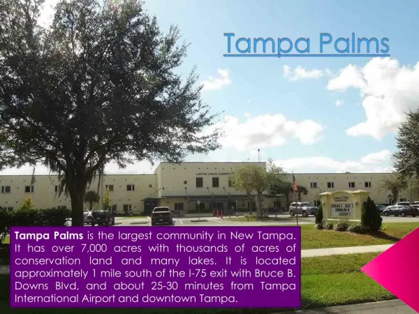 Tampa Palms Homes For Sale