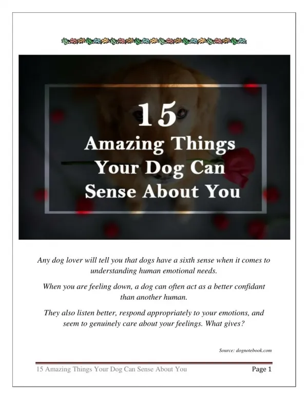 15 Amazing Things Your Dog Can Sense About You