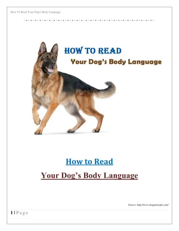 How To Read Your Dog's Body Language