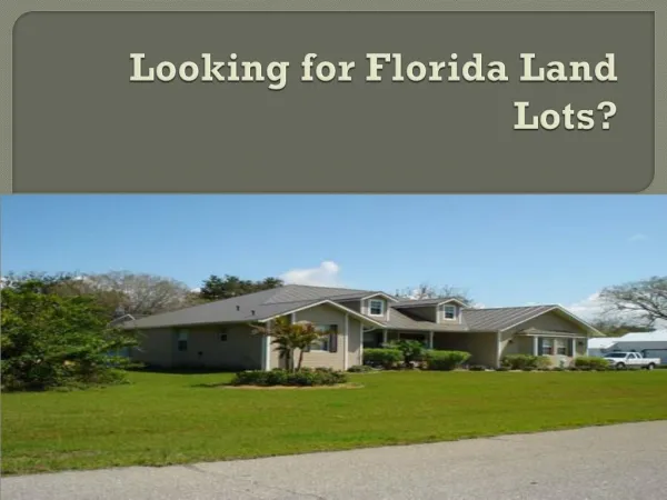 Florida Land Lots 