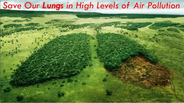 10 Points to Save Our Lungs in High Levels of Air Pollution - Dr. (Prof.) Arvind Kumar