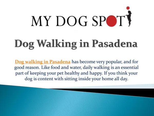 Dog Walking in Pasadena